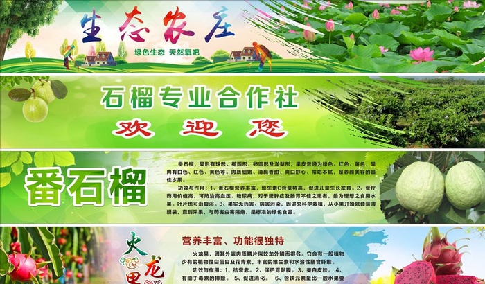 生农庄图片