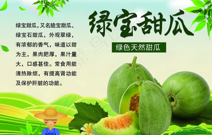 绿宝甜瓜图片psd模版下载