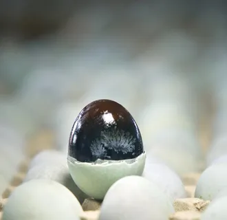 皮蛋图片