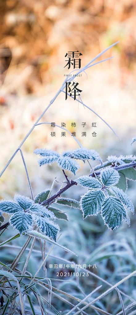 地产霜降节气海报图片