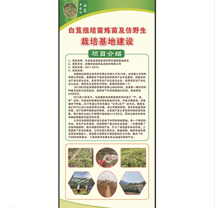 白芨中药材展板海报图片