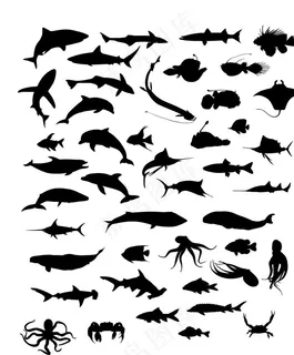 鱼剪影图片