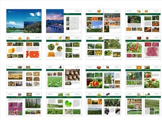 农产品画册图片