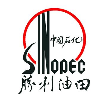 胜利油田中石化标志图片
