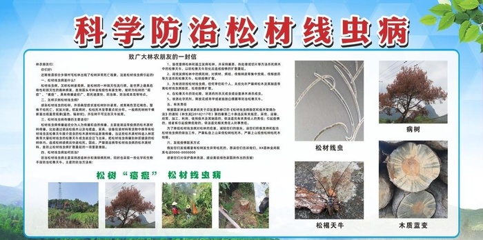 防治松材线虫图片cdr矢量模版下载