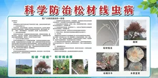 防治松材线虫图片