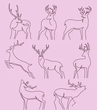 鹿的姿态图片