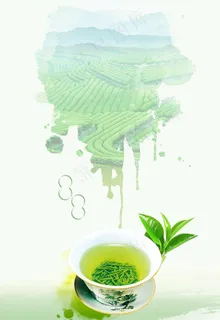 电商绿茶海报背景图片