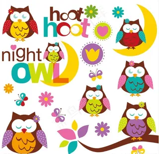 猫头鹰图片