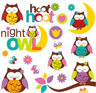 猫头鹰图片 猫头鹰图片