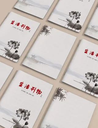 文学杂志封皮图片