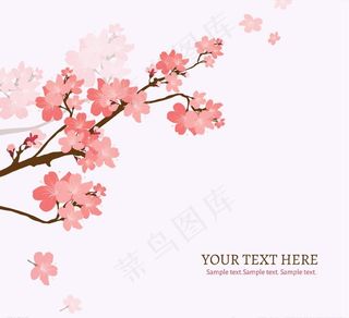 樱花花枝背景图片