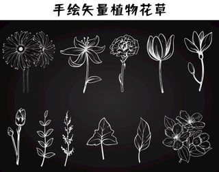 手绘矢量植物花草图片
