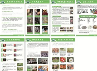 易制毒化学品图片