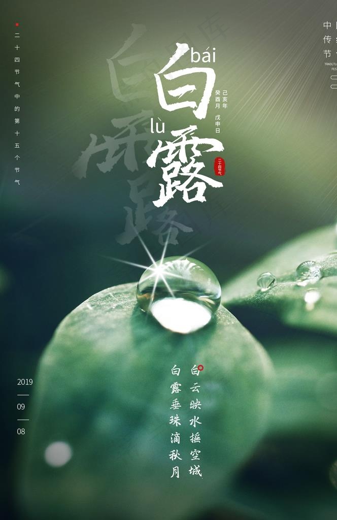 白露图片psd模版下载