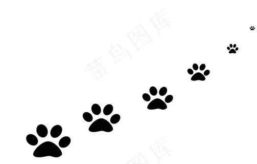 狗狗脚印图片