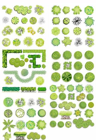 树木绿植景观矢量图片