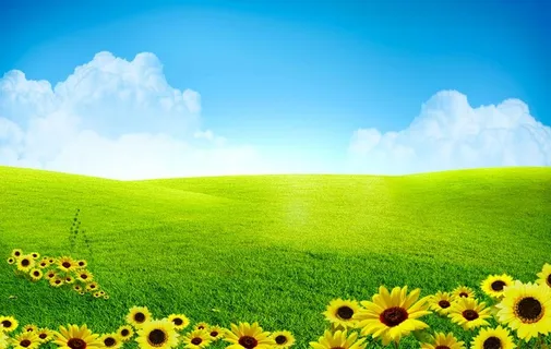 蓝天白云草地图片