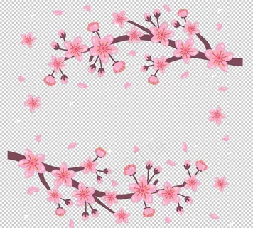 樱花素材图片