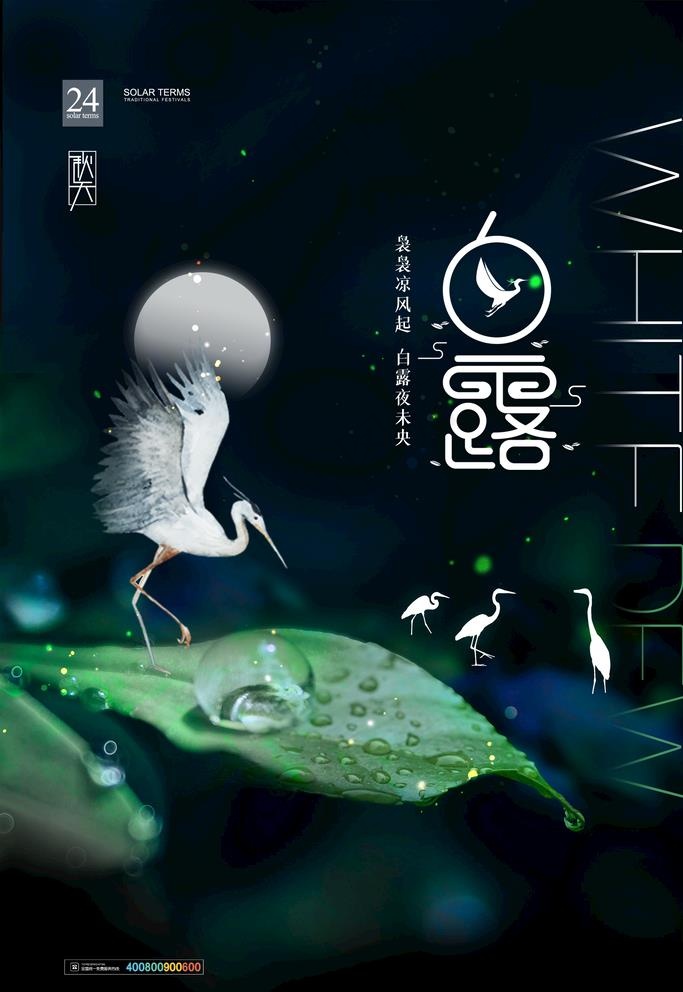 手绘中国传统24节气白露节海报图片