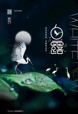 手绘中国传统24节气白露节海报图片