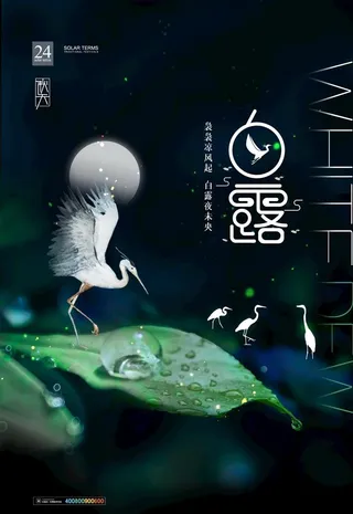 手绘中国传统24节气白露节海报图片