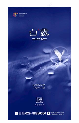 二十四节气海报 白露图片