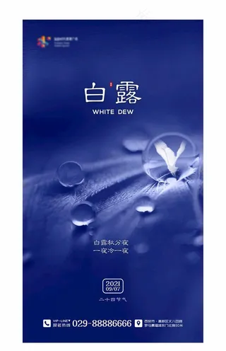 二十四节气海报 白露图片