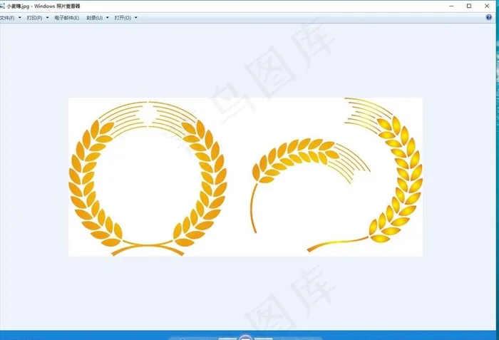 小麦穗 金色图片