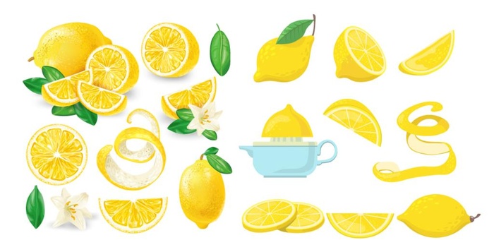 矢量柠檬图片