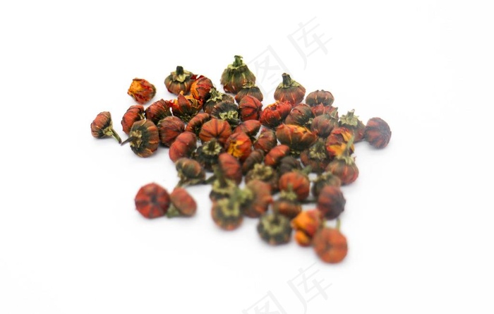 昆仑胎菊图片