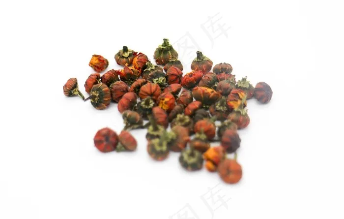 昆仑胎菊图片