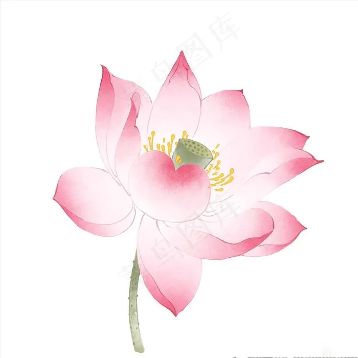 荷花图片psd模版下载