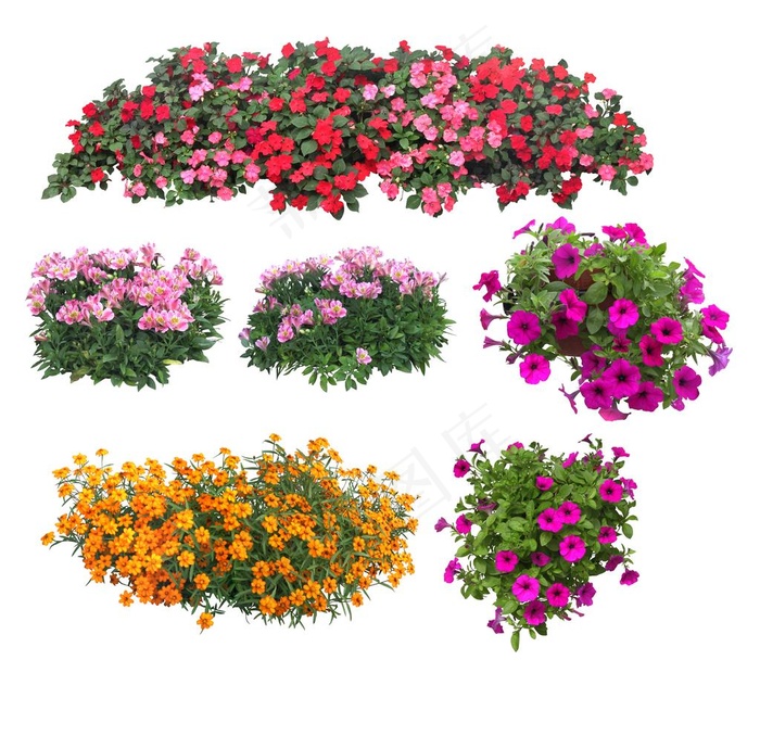 景观 花 植物图片(4343x4341)psd模版下载