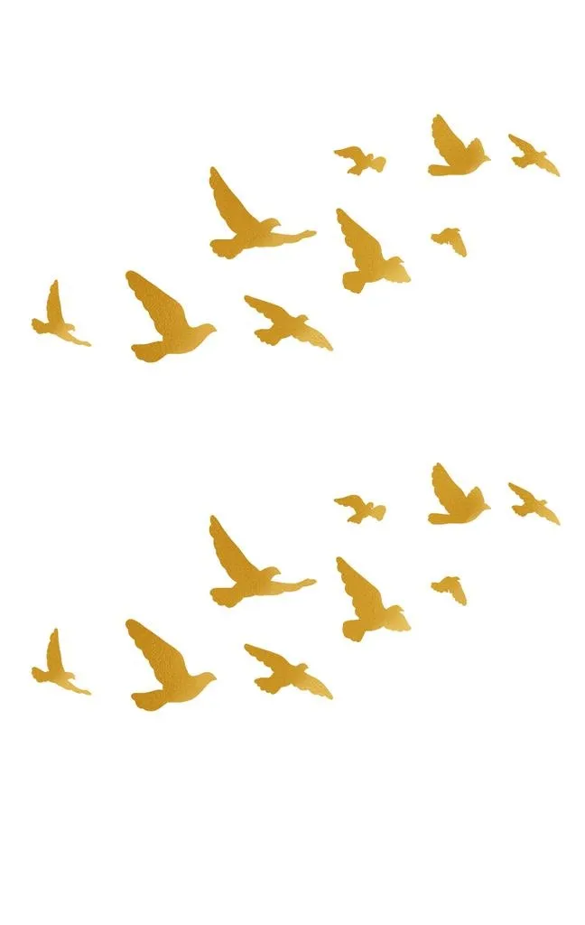 鸽子图片(1500x3200)psd模版下载