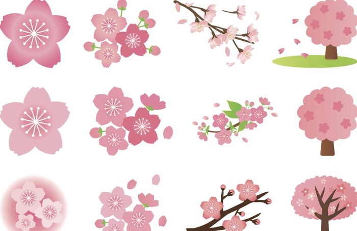 樱花矢量素材图片