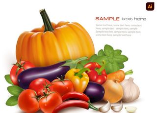 逼真蔬菜插画图片