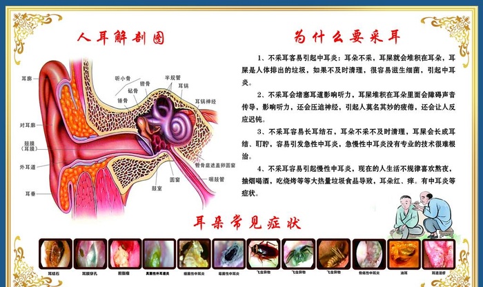 可视采耳图片