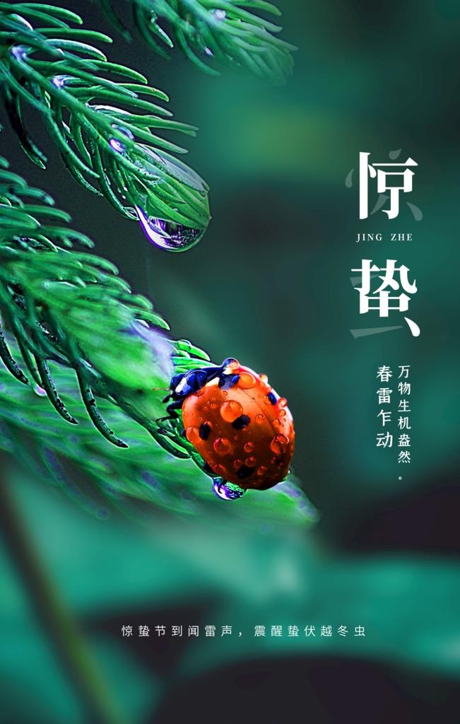 惊蛰图片(2362x3543)psd模版下载