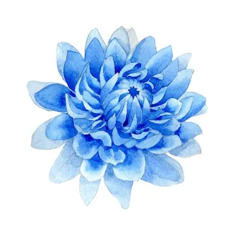 水彩植物花朵绿叶图片