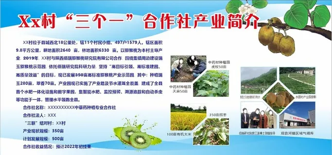 猕猴桃展板图片