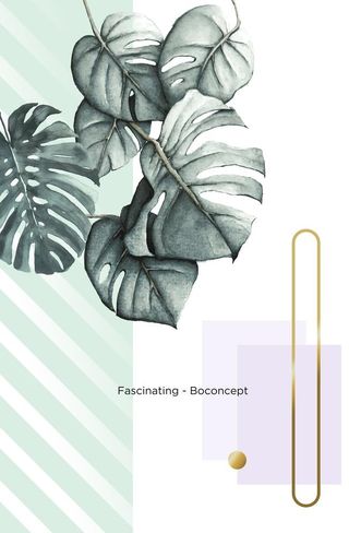 植物小清新图片