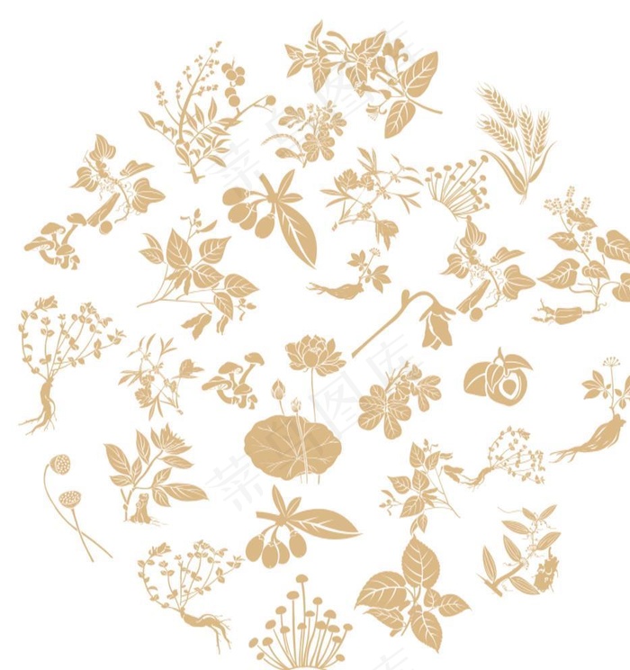 中医中药底纹图片