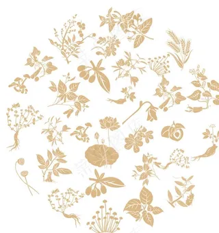 中医中药底纹图片