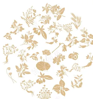 中医中药底纹图片 中医中药底纹图片