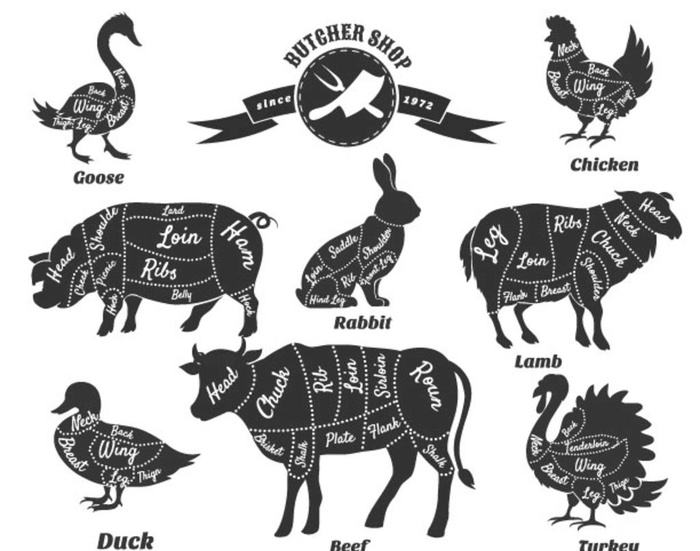 肉风格图图片