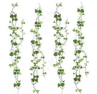 藤蔓绿色png图片