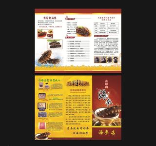 海参三折页图片
