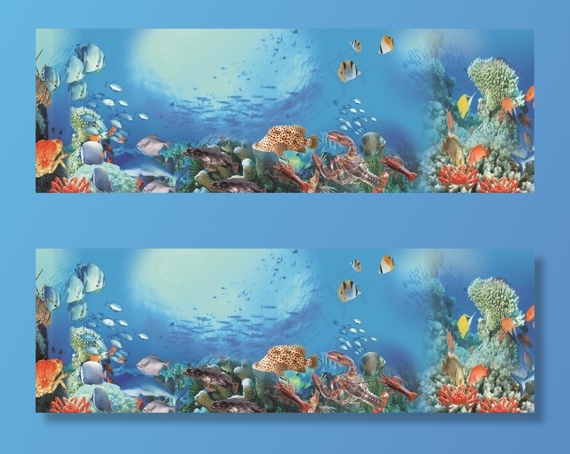 水产背景图片