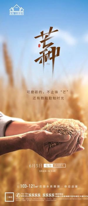 地产芒种节气微信图片